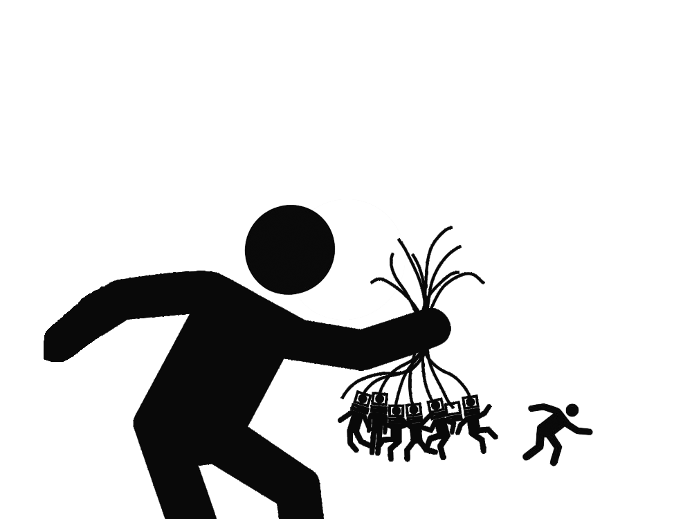 Guest_1